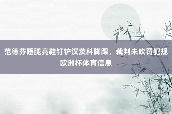 范德芬蹬腿亮鞋钉铲汉茨科脚踝，裁判未吹罚犯规欧洲杯体育信息