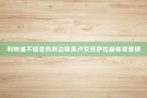 利物浦不错签热刺边锋库卢交班萨拉赫体育集锦