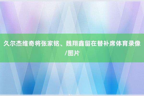 久尔杰维奇将张家铭、魏翔鑫留在替补席体育录像/图片