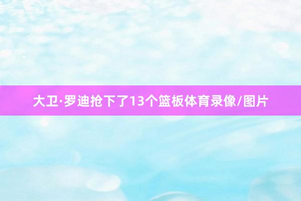 大卫·罗迪抢下了13个篮板体育录像/图片