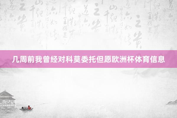 几周前我曾经对科莫委托但愿欧洲杯体育信息