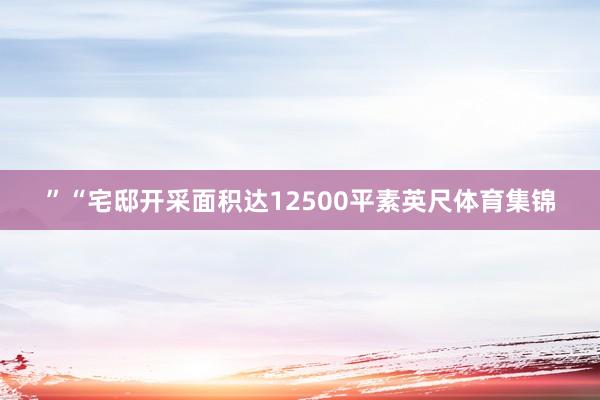 ”“宅邸开采面积达12500平素英尺体育集锦