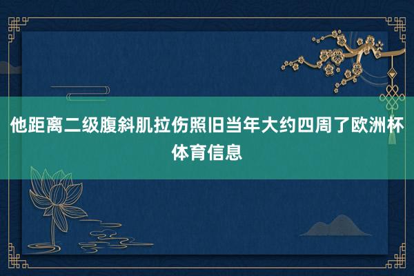 他距离二级腹斜肌拉伤照旧当年大约四周了欧洲杯体育信息