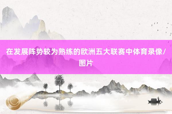 在发展阵势较为熟练的欧洲五大联赛中体育录像/图片