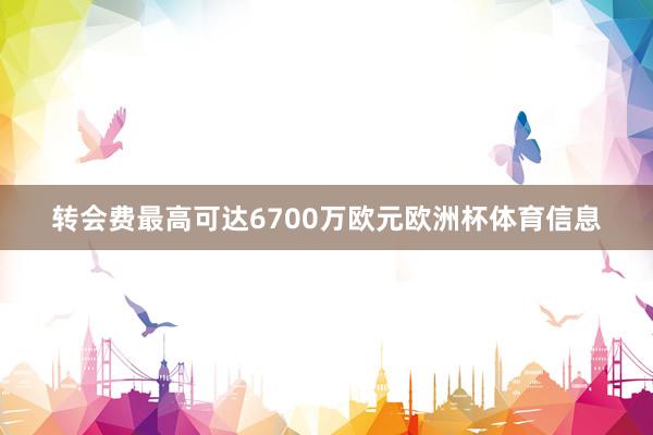 转会费最高可达6700万欧元欧洲杯体育信息