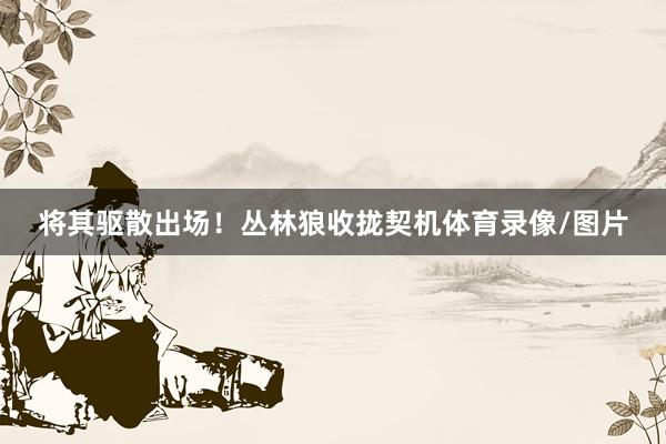 将其驱散出场！丛林狼收拢契机体育录像/图片