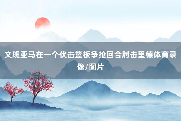 文班亚马在一个伏击篮板争抢回合肘击里德体育录像/图片