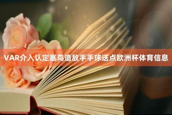 VAR介入认定塞鸟造敌手手球送点欧洲杯体育信息