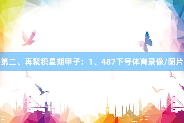 第二、再聚积星期甲子：　　1、487下号体育录像/图片